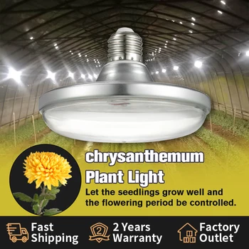 15 Вт Хризантемовый ночной заполняющий светильник, водонепроницаемый на открытом воздухе для светодиодного фотопериода растений и флуоресценции