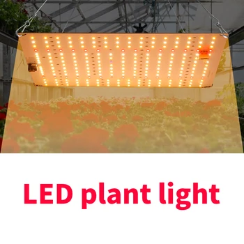 50W LED Quantum Board Plant Light LED Grow Lighting Гидропоника лампа Для Растений Полного Спектра Тепличный Цветочный Светильник Палатка