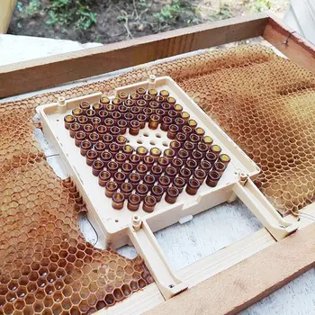 Karl Jenter Стартовый набор для выращивания личинок для маток Jenter Полный набор для пчеловодства Jenter Набор для выращивания маток для разведения пчел