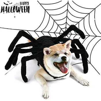 Костюм собаки на Хэллоуин, костюм собаки и кошки, костюм паука на Хэллоуин, одежда для домашних животных, костюм щенка и кошки