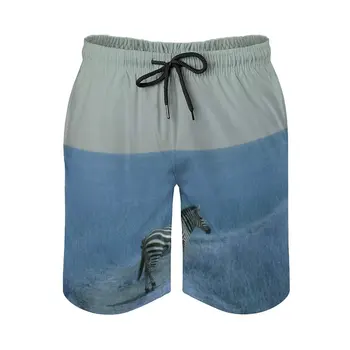 Одиночная зебра синего цвета, мужские спортивные короткие пляжные шорты для серфинга, плавки-боксеры в полоску с изображением лошади Зебры, Африканская Саванна Масаи
