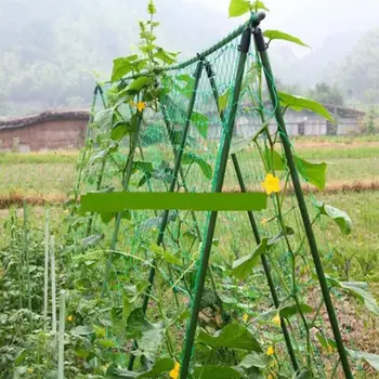 Сетка для вьющихся растений, прочный полиэтилен, опоры для выращивания овощных растений, сетка для дома